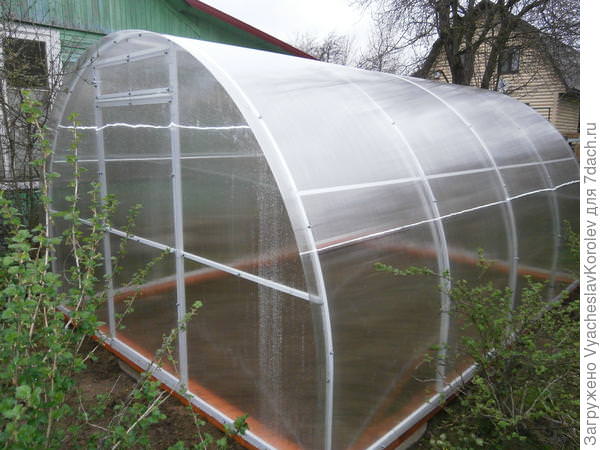 Какими характеристиками и достоинствами обладают теплицы слава сп?