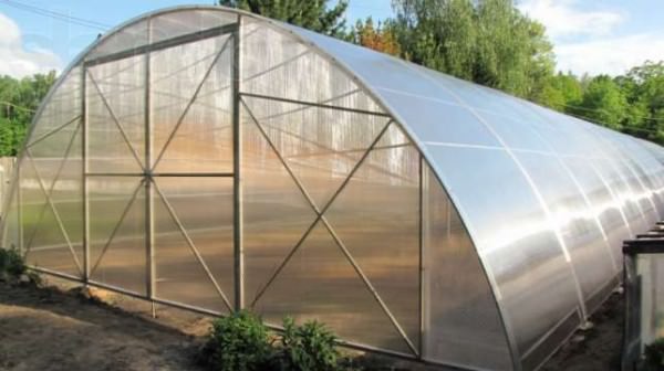 Какими качествами обладают теплицы фермерские из поликарбоната
