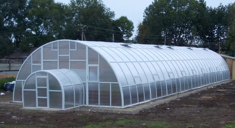 Какими качествами обладают теплицы фермерские из поликарбоната