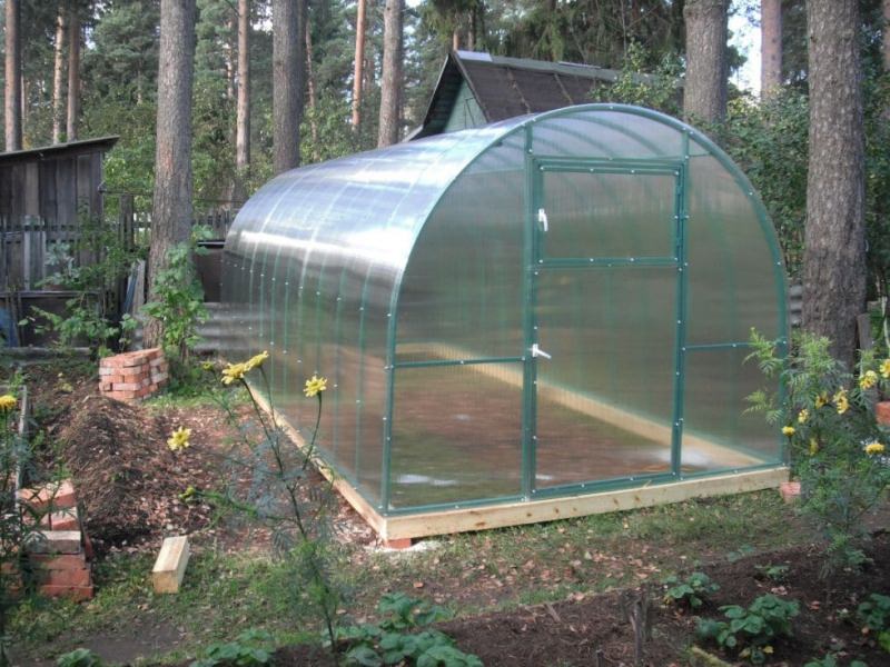 Какими преимуществами обладают теплицы из поликарбоната домиком?
