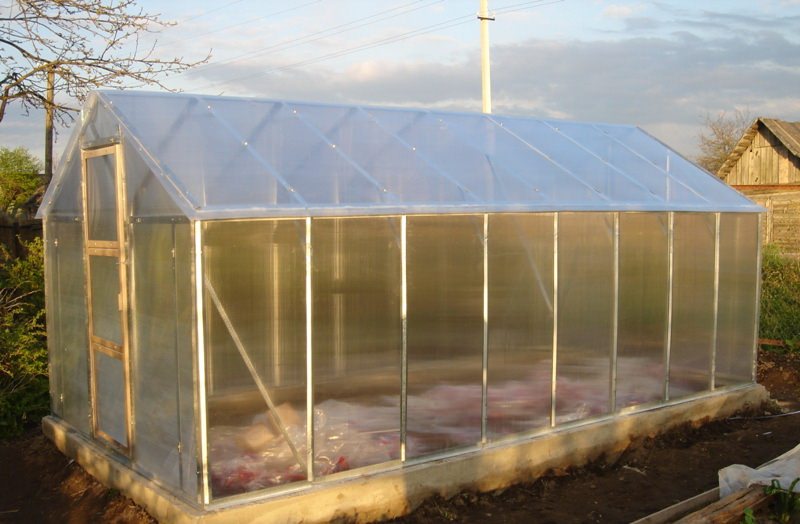 Какими преимуществами обладают теплицы из поликарбоната домиком?