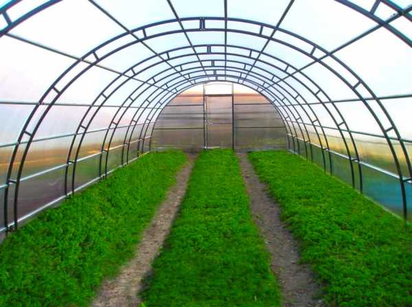 Какими способами регулируется температура в теплице?