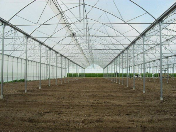 Какими способами регулируется температура в теплице?