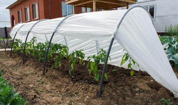 Какими существуют переносные мини-парники для дачи?