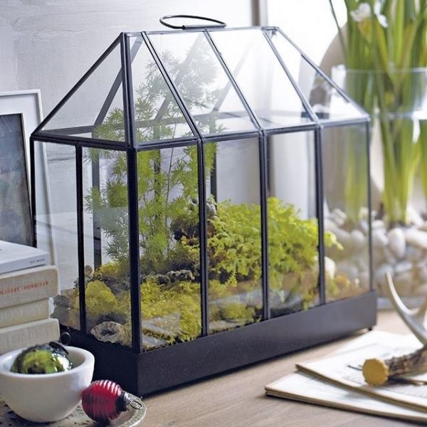 Какими существуют переносные мини-парники для дачи?