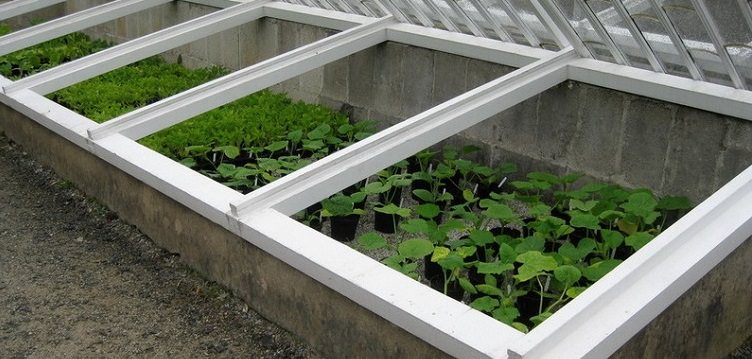 Какими существуют переносные мини-парники для дачи?