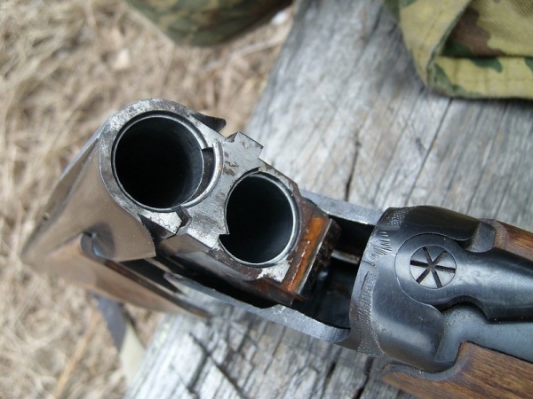 Какое ружье лучше купить для охоты новичку: советы, как правильно выбрать карабин начинающему охотнику