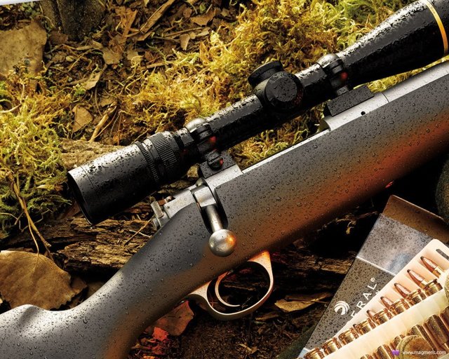 Какое ружье лучше купить для охоты новичку: советы, как правильно выбрать карабин начинающему охотнику