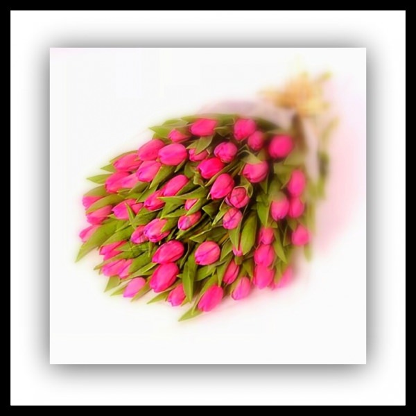 Какое смысловое значение георгинов?