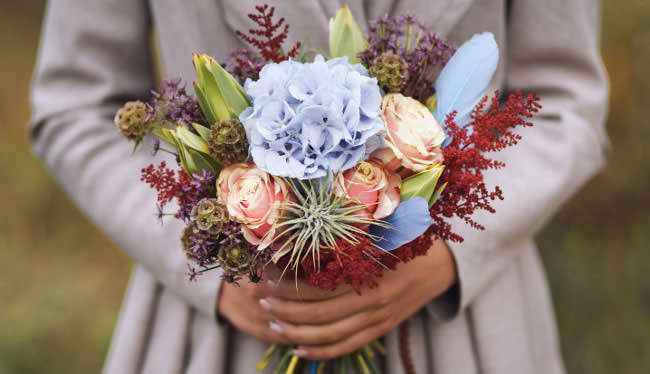 Какое смысловое значение георгинов?