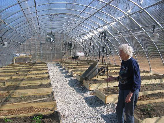 Какой должна быть большая теплица