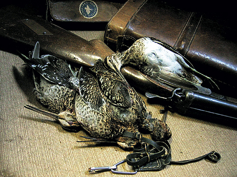 Какой дробью стрелять: зайца, утку, рябчика, дичь, осенью, зимой, весной, таблицы размеров в мм по номерам