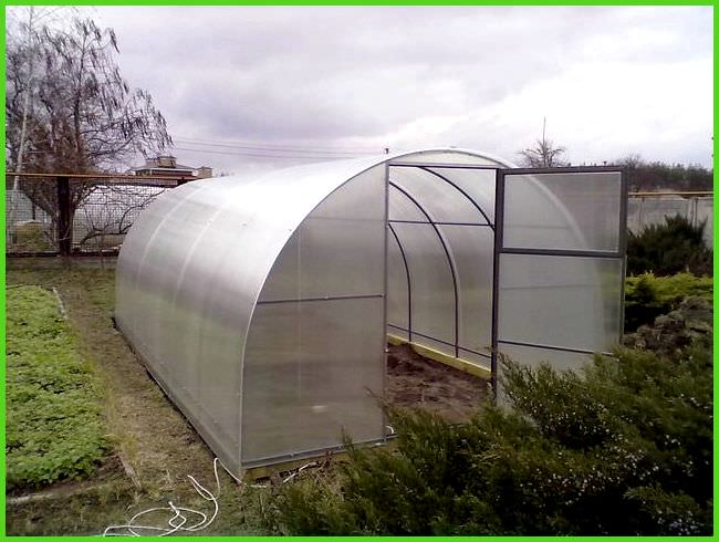 Какой поликарбонат лучше подходит для теплицы