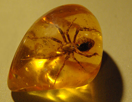 Камень Янтарь: магические свойства, кому подходит по знаку зодиака