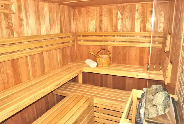 Каменки для сауны – непременный атрибут, главное только выбрать источник тепла – всё о банях