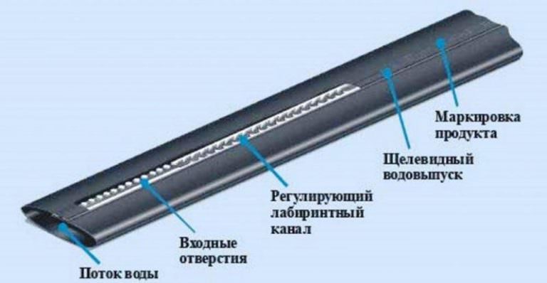 Капельная лента для полива: характеристика видов и правила монтажа