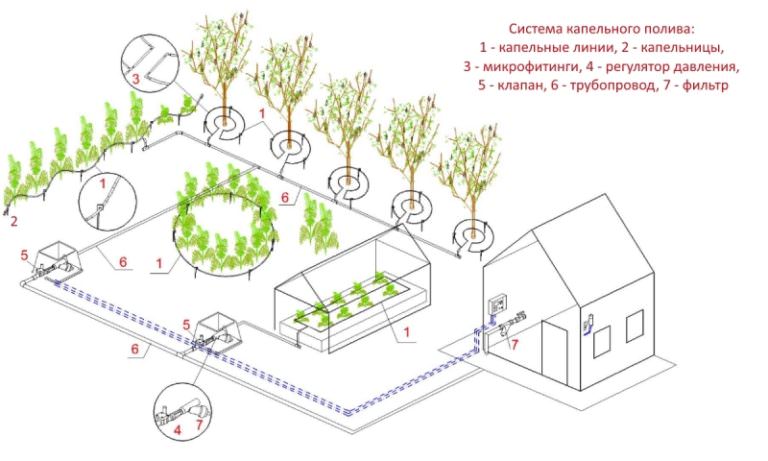 Капиллярный полив: принцип работы и достоинства системы