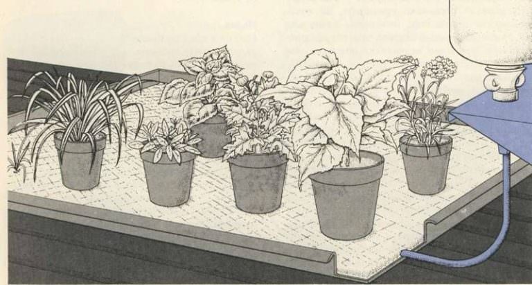 Капиллярный полив: принцип работы и достоинства системы