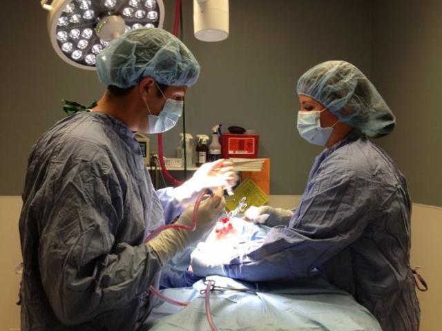 Кавернозная гемангиома (печени, позвоночника, кожи): симптомы, лечение (нейрохирургия)