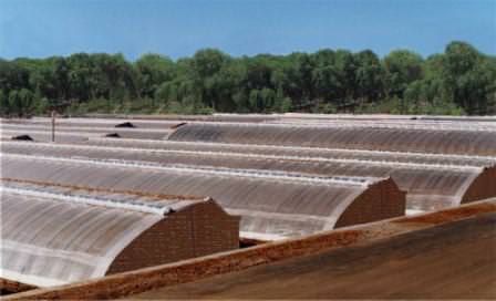 Китайские теплицы: характеристика, преимущества и этапы установки