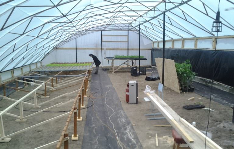 Китайские теплицы: характеристика, преимущества и этапы установки