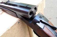 Коллиматорные прицелы: охотничьего оружия, ружей, на гризонталку, какой выбрать, колиматор, пристрелка, установка, оптика