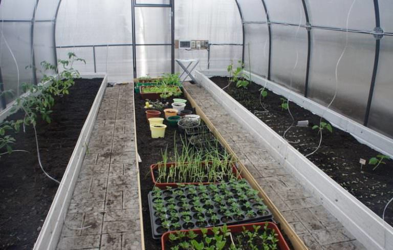 Комплексная подготовка почвы в теплице под помидоры весной