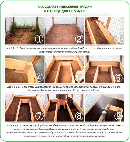 Комплексная подготовка почвы в теплице под помидоры весной
