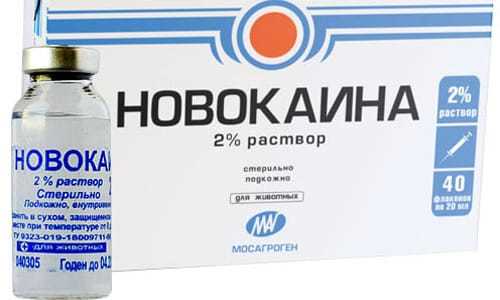 Компресс димексид и новокаин – можно ли принимать одновременно (совместимость)