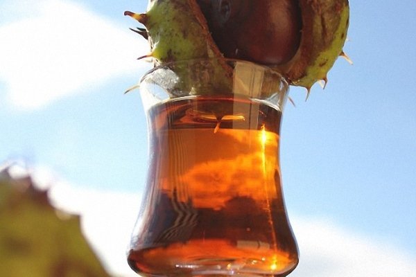 Конский каштан от варикоза: рецепты, мази, настойки