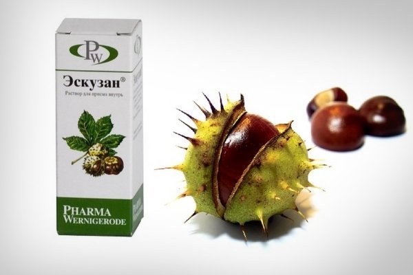 Конский каштан от варикоза: рецепты, мази, настойки