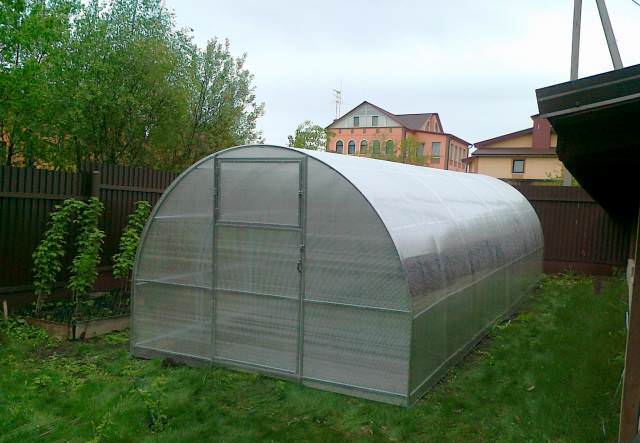 Кремлевская теплица из поликарбоната от производителя: характеристика видов и правила сборки