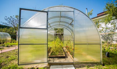 Кремлевские теплицы: характеристика и комплектация