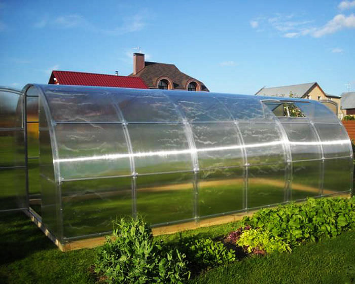 Кремлевские теплицы: характеристика и комплектация