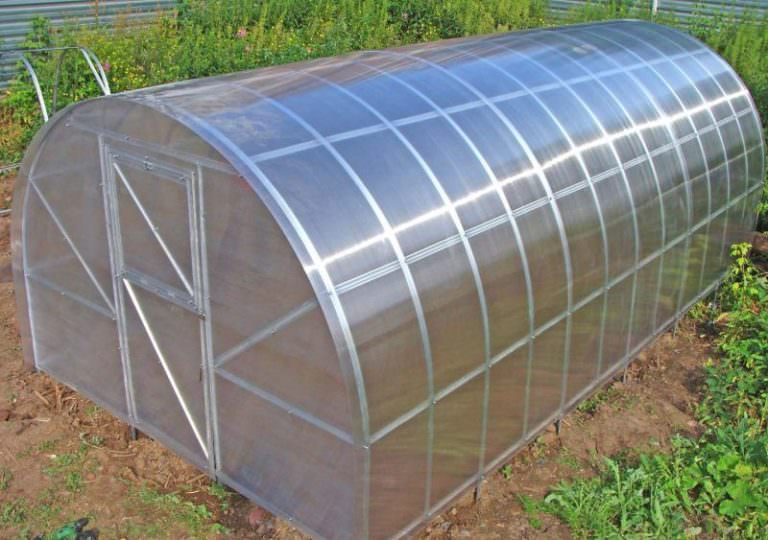 Круглогодичная теплица: видовое разнообразие и этапы самостоятельного возведения