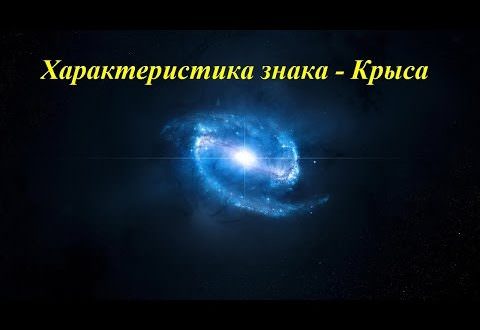 Крыса и Лошадь: совместимость женщины и мужчины в браке