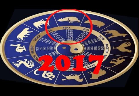 Крыса и собака: совместимость женщины и мужчины на все случаи жизни