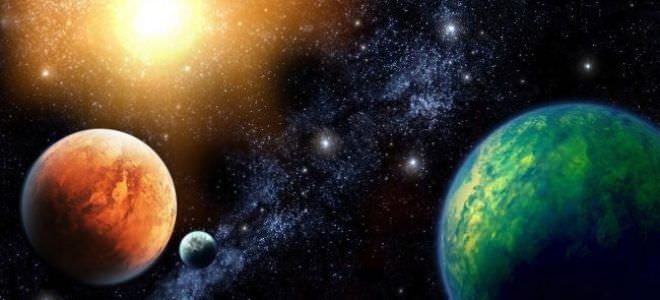 Крыса и собака: совместимость женщины и мужчины на все случаи жизни