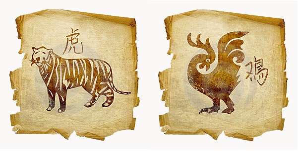 Крыса и тигр — совместимость мужчины и женщины: по китайскому гороскопу