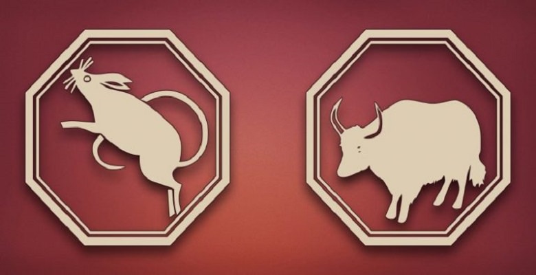 Крыса женщина и крыса мужчина — совместимость в любви и браке