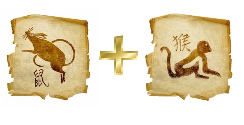 Крыса женщина и крыса мужчина — совместимость в любви и браке