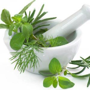 Лечение варикоцеле без операции: таблетки, народные средства, отзывы мужчин