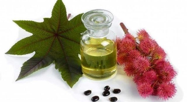 Лимфостаз: лечение (народное, гирудотерапия), причины