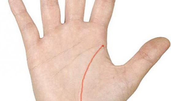 Линия жизни на ладони — описание и расшифровка каждого знака, советы