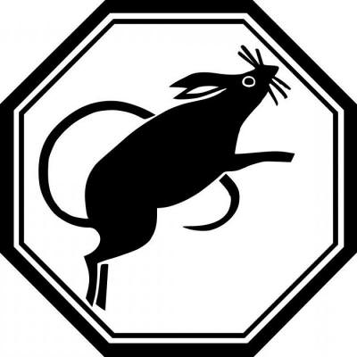 Лошадь и Крыса: совместимость мужчины и женщины в любви