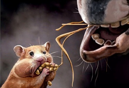 Лошадь и Крыса: совместимость мужчины и женщины в любви