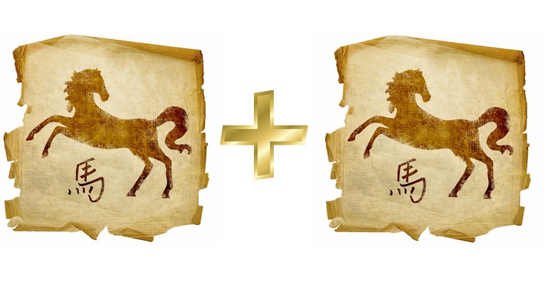 Лошадь и Лошадь: совместимость женщины и мужчины в браке и любви