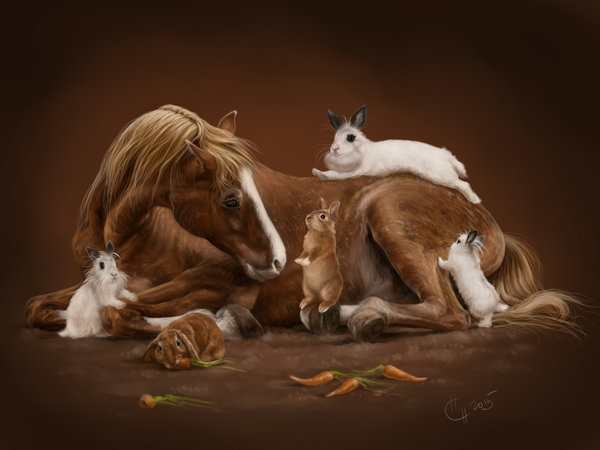 Лошадь и Лошадь: совместимость женщины и мужчины в браке и любви