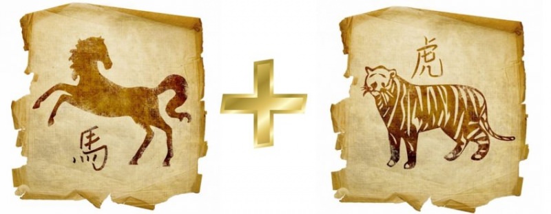 Лошадь и тигр — совместимость мужчины и женщины в любовных отношениях