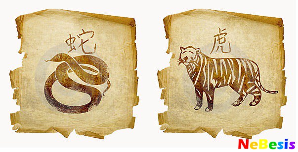 Лошадь и тигр — совместимость мужчины и женщины в любовных отношениях